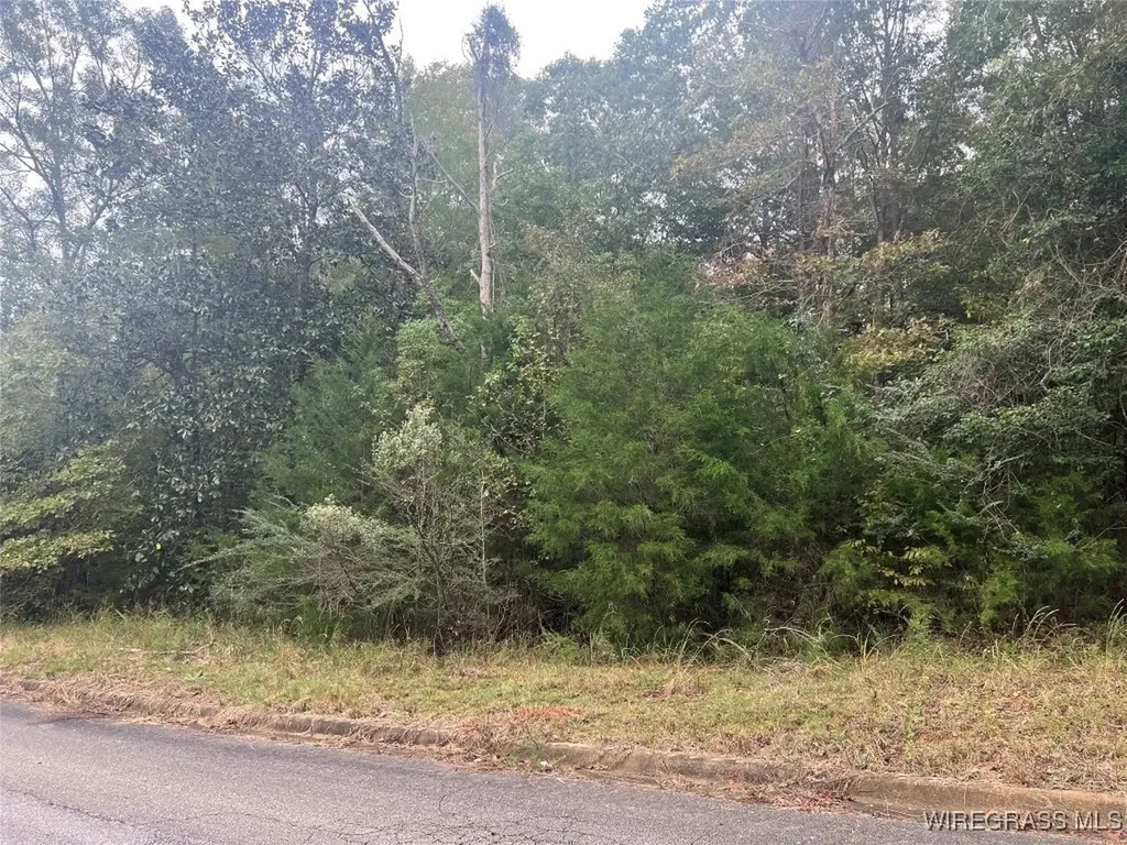 0 Kanrai Lane Andalusia AL 36421