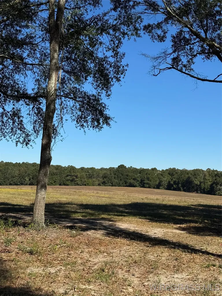 429 E Skyline Avenue Geneva AL 36340