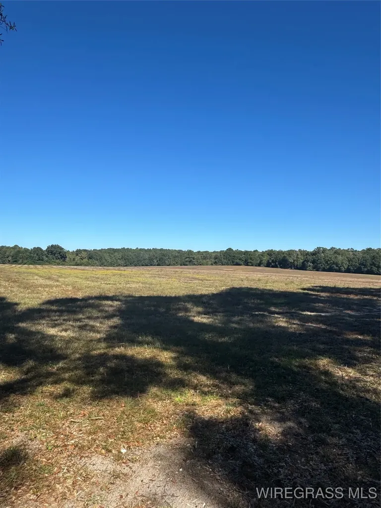 429 E Skyline Avenue Geneva AL 36340