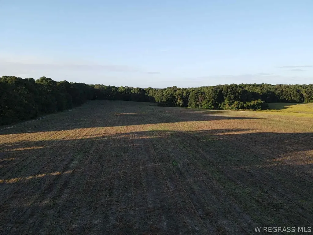 429 E Skyline Avenue Geneva AL 36340