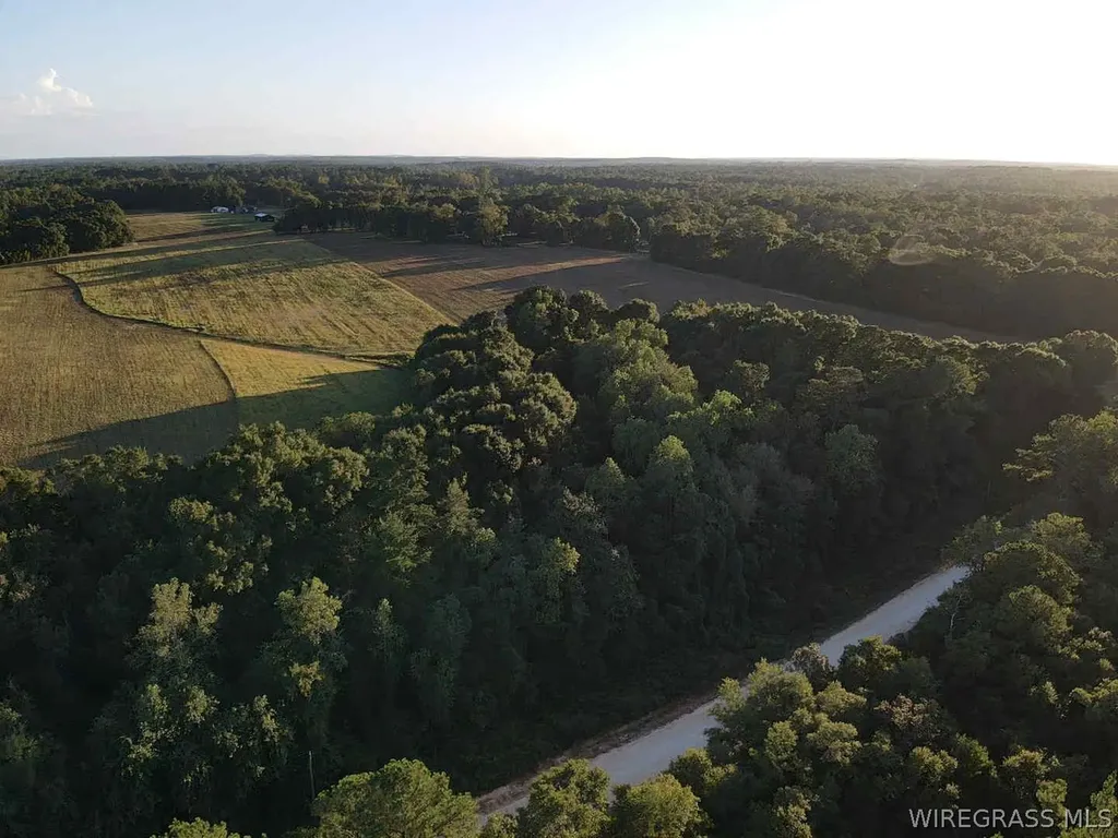 429 E Skyline Avenue Geneva AL 36340