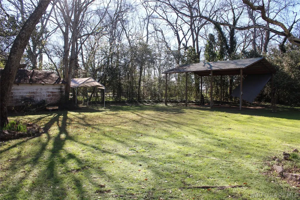 292 S Broad Street Newville AL 36353