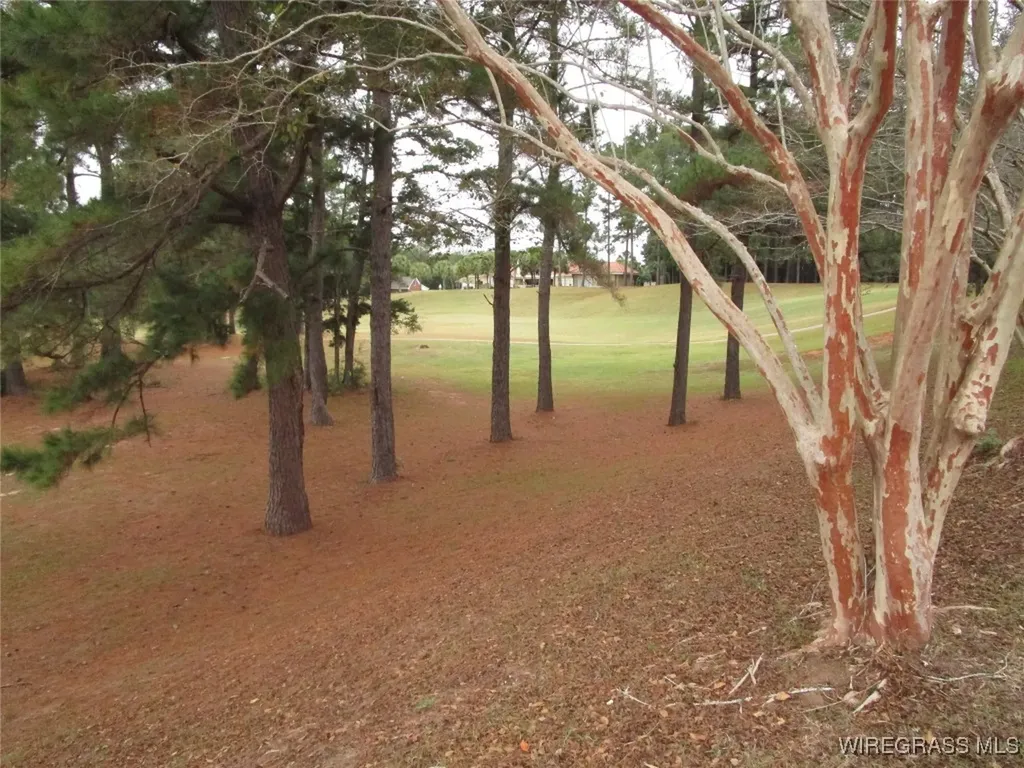 109 Tom Morris Lane Enterprise AL 36330