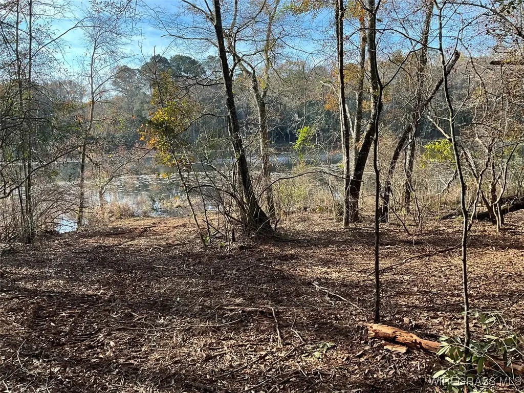 675 Lessie Culpepper Road Coffee Springs AL 36318