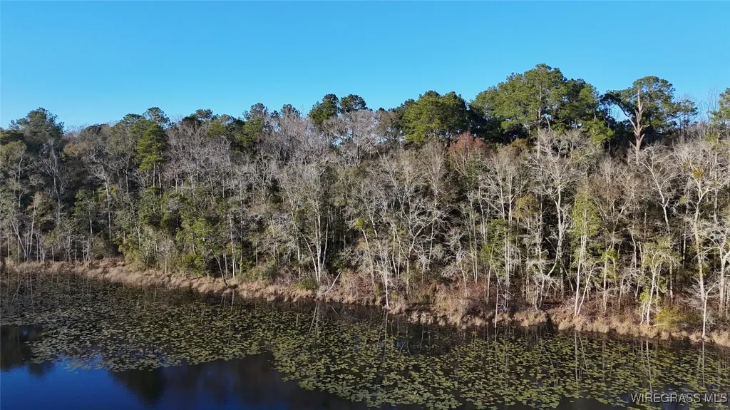 675 Lessie Culpepper Road Coffee Springs AL 36318