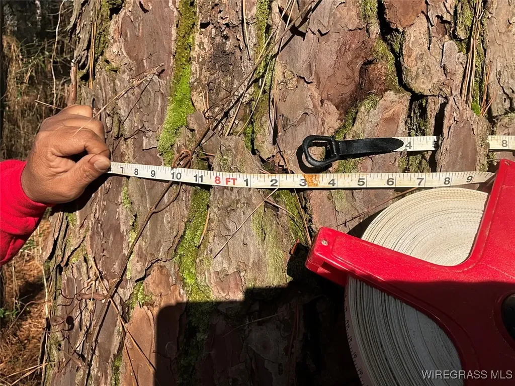 675 Lessie Culpepper Road Coffee Springs AL 36318