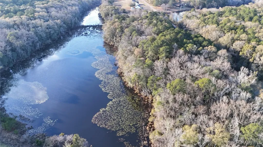 675 Lessie Culpepper Road Coffee Springs AL 36318