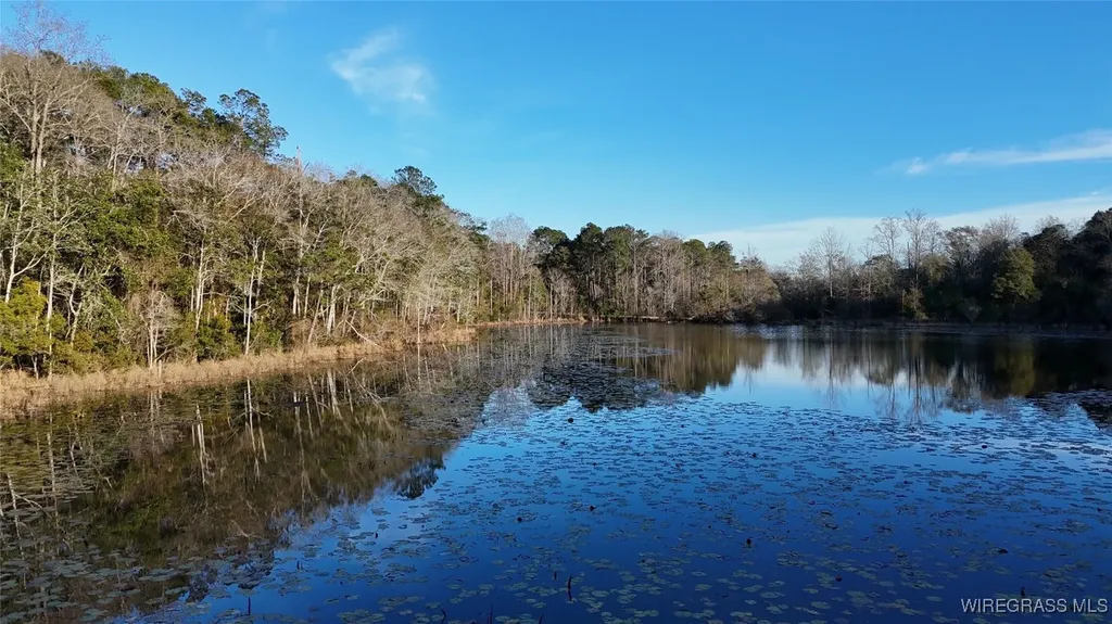 675 Lessie Culpepper Road Coffee Springs AL 36318