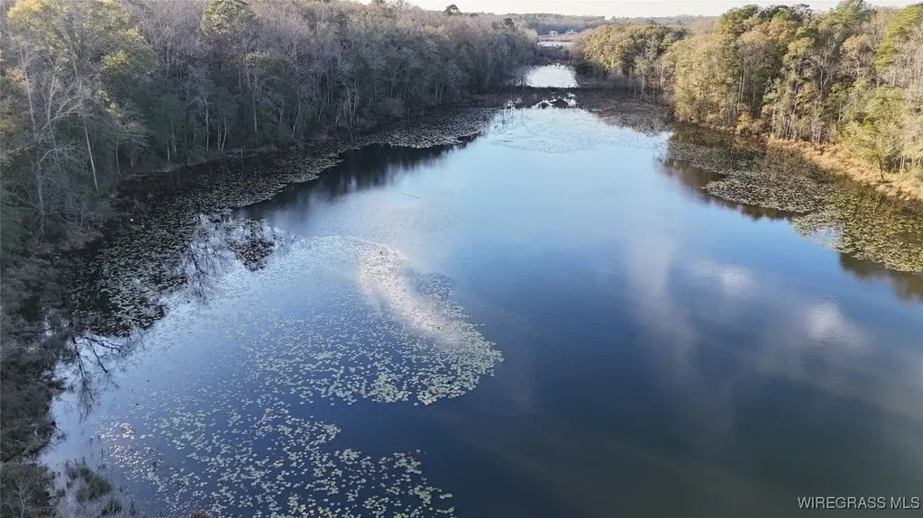 675 Lessie Culpepper Road Coffee Springs AL 36318