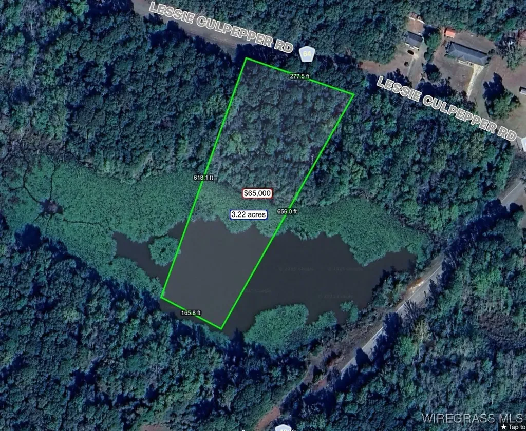 675 Lessie Culpepper Road Coffee Springs AL 36318