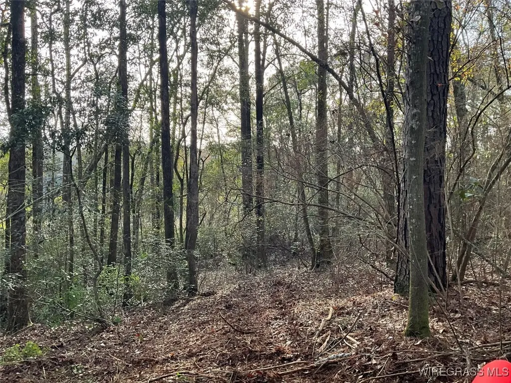 675 Lessie Culpepper Road Coffee Springs AL 36318