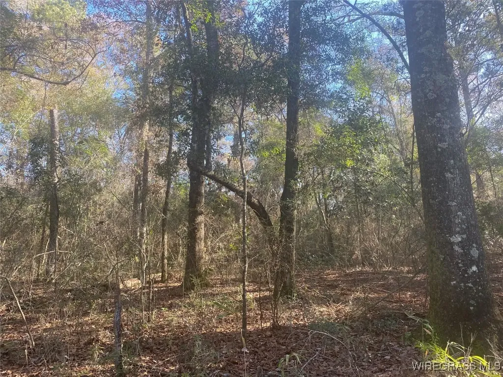 675 Lessie Culpepper Road Coffee Springs AL 36318