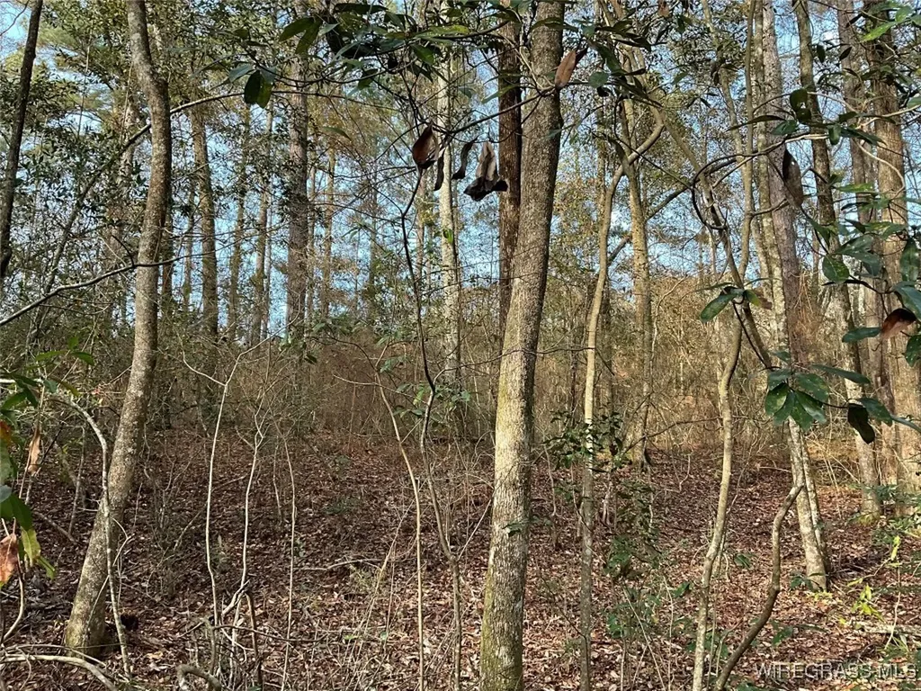 675 Lessie Culpepper Road Coffee Springs AL 36318