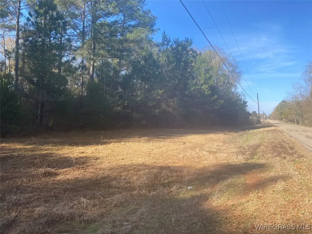 675 Lessie Culpepper Road Coffee Springs AL 36318