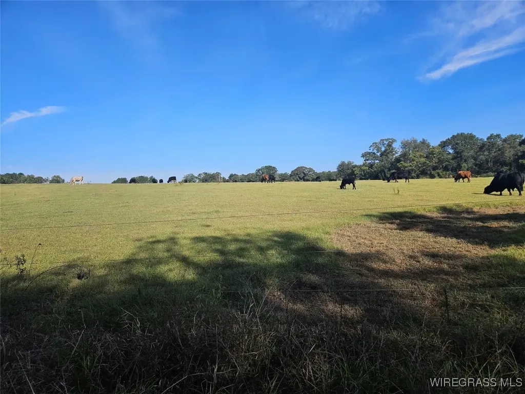 7404 Highway 141 Elba AL 36323