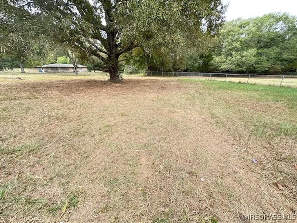 272 County Road 257 New Brockton AL 36351