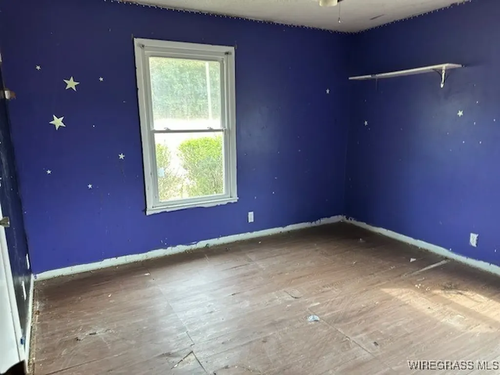 272 County Road 257 New Brockton AL 36351