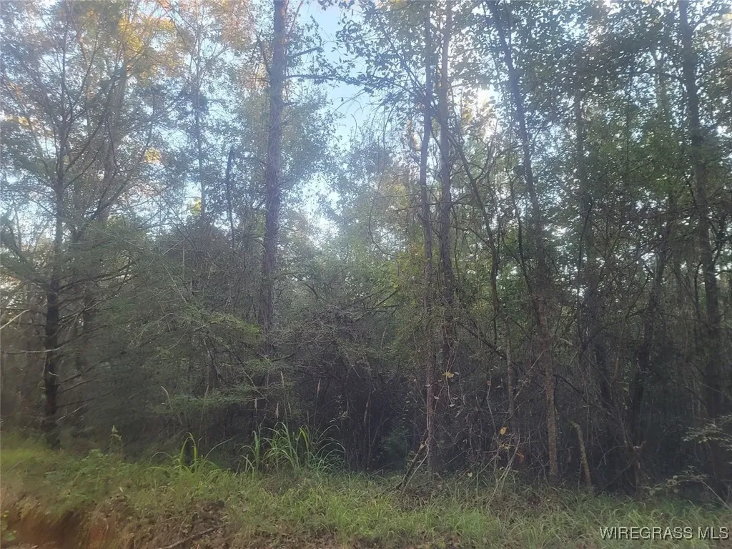0 J P Howard Road Evergreen AL 36401