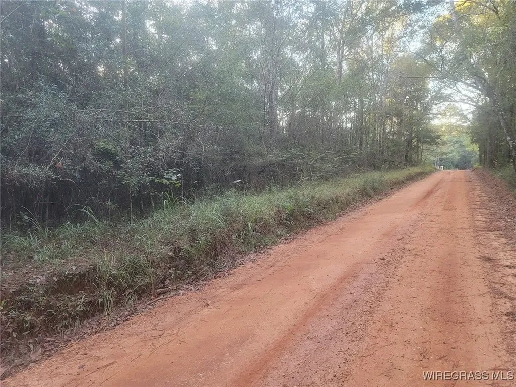 0 J P Howard Road Evergreen AL 36401