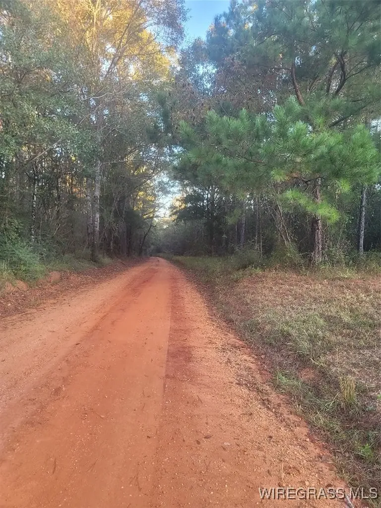 0 J P Howard Road Evergreen AL 36401