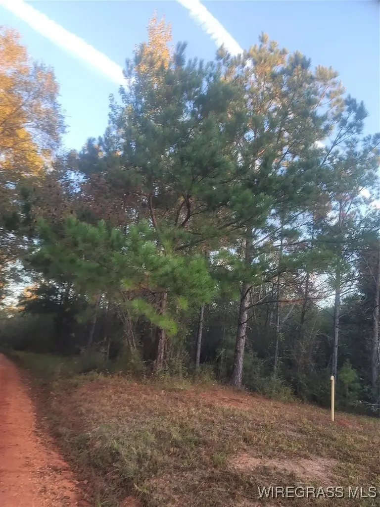 0 J P Howard Road Evergreen AL 36401