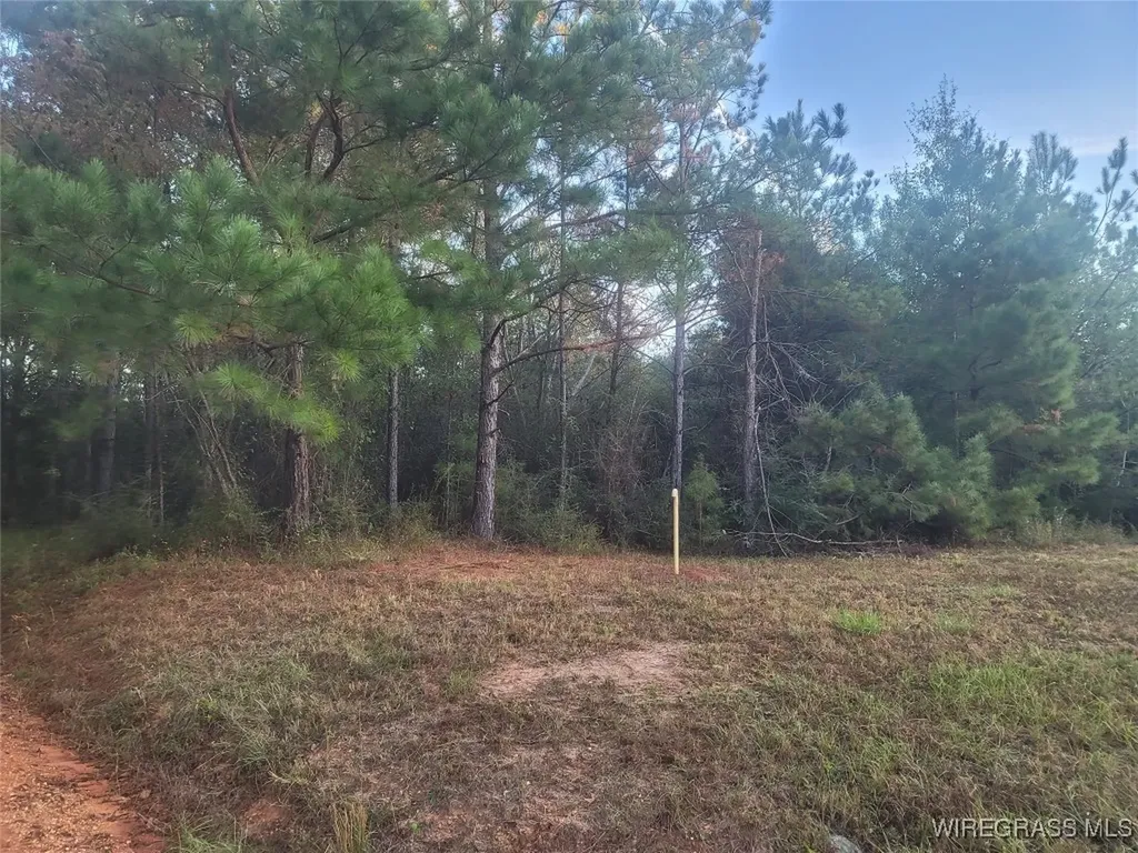 0 J P Howard Road Evergreen AL 36401