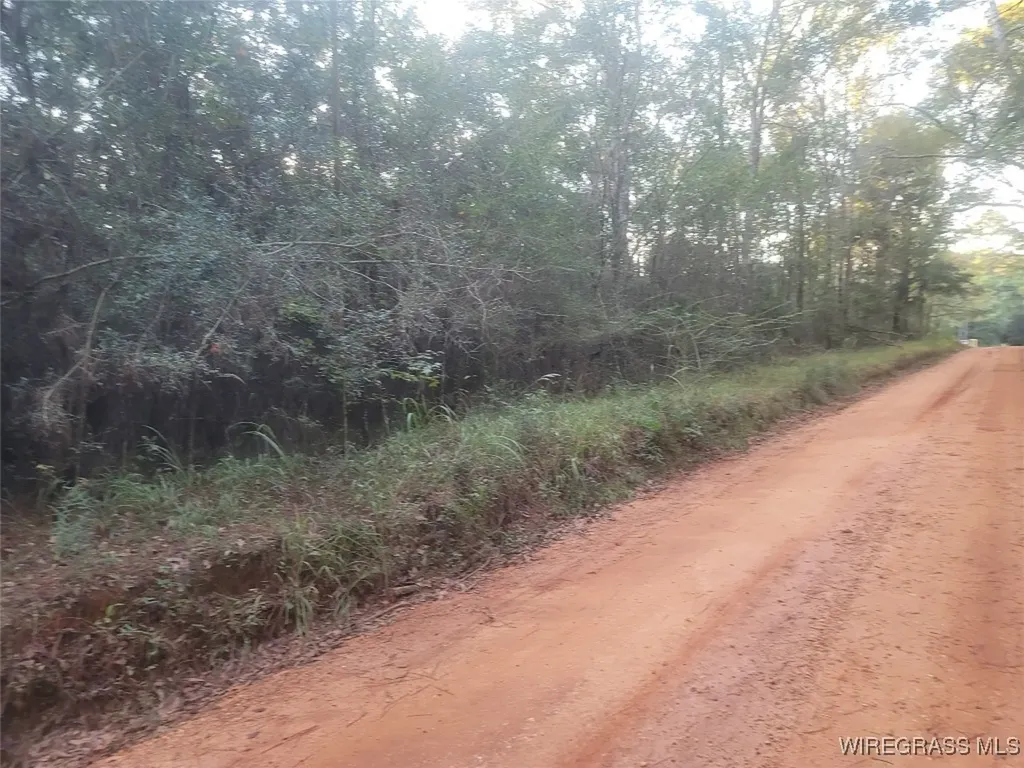0 J P Howard Road Evergreen AL 36401