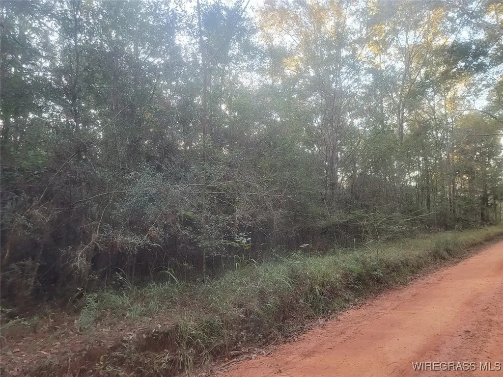0 J P Howard Road Evergreen AL 36401