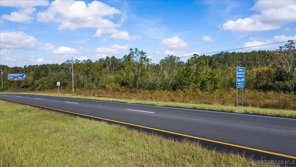 0 Highway 84 New Brockton AL 36351