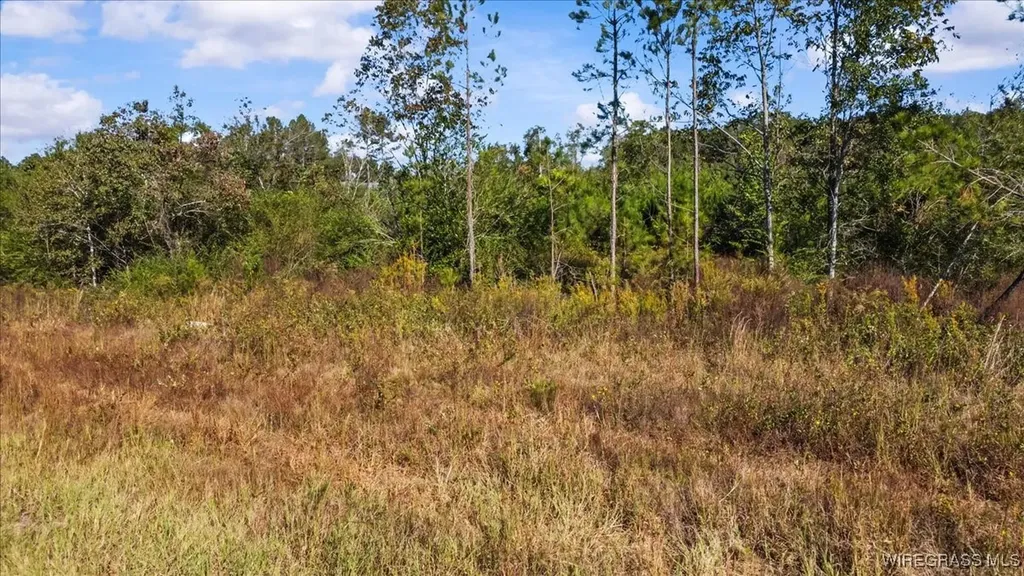 0 Highway 84 New Brockton AL 36351