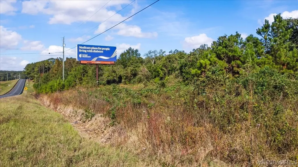 0 Highway 84 New Brockton AL 36351