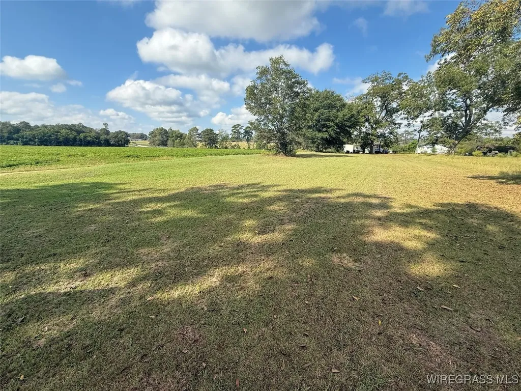 496 N Broad Street Newville AL 36353