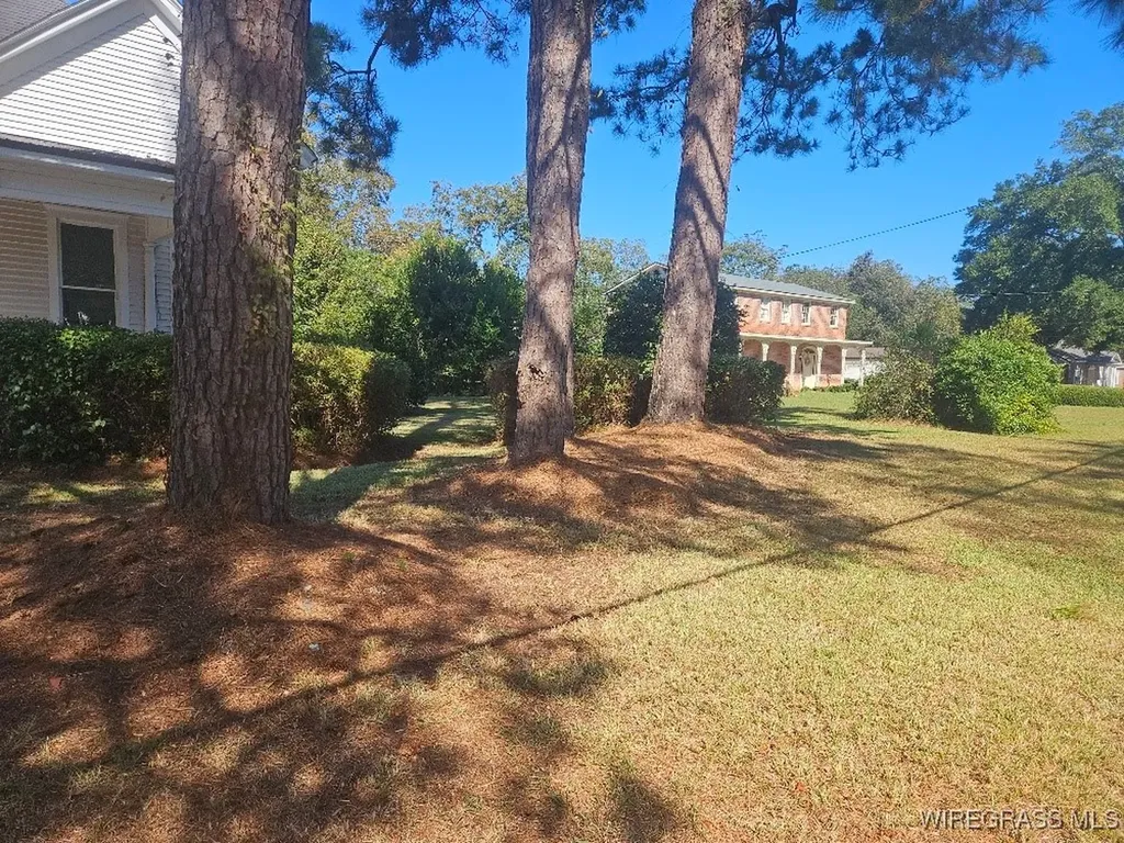 77 King Street E Newton AL 36352