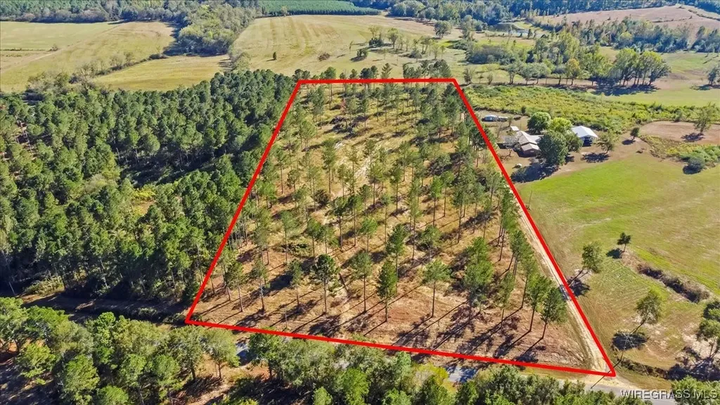 900 County Road 450 Elba AL 36323