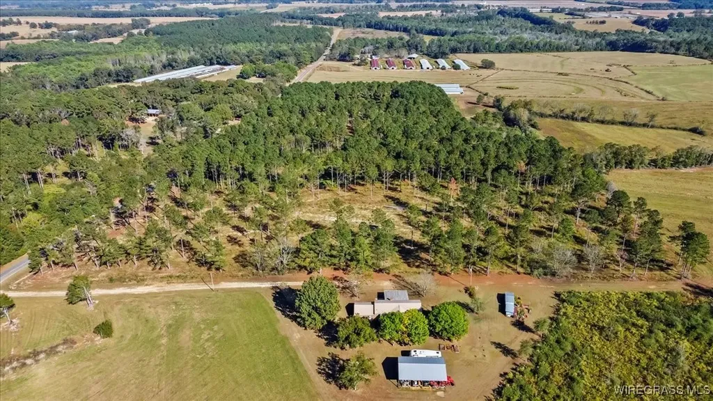 900 County Road 450 Elba AL 36323