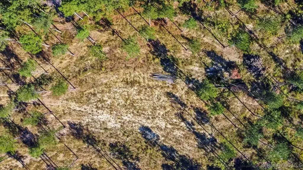 900 County Road 450 Elba AL 36323