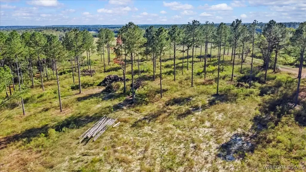 900 County Road 450 Elba AL 36323