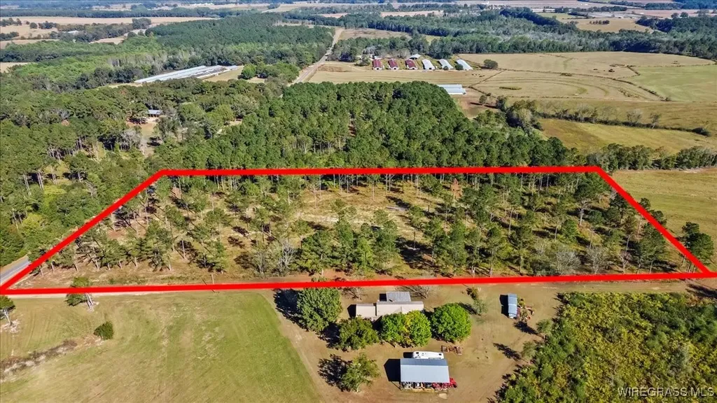 900 County Road 450 Elba AL 36323