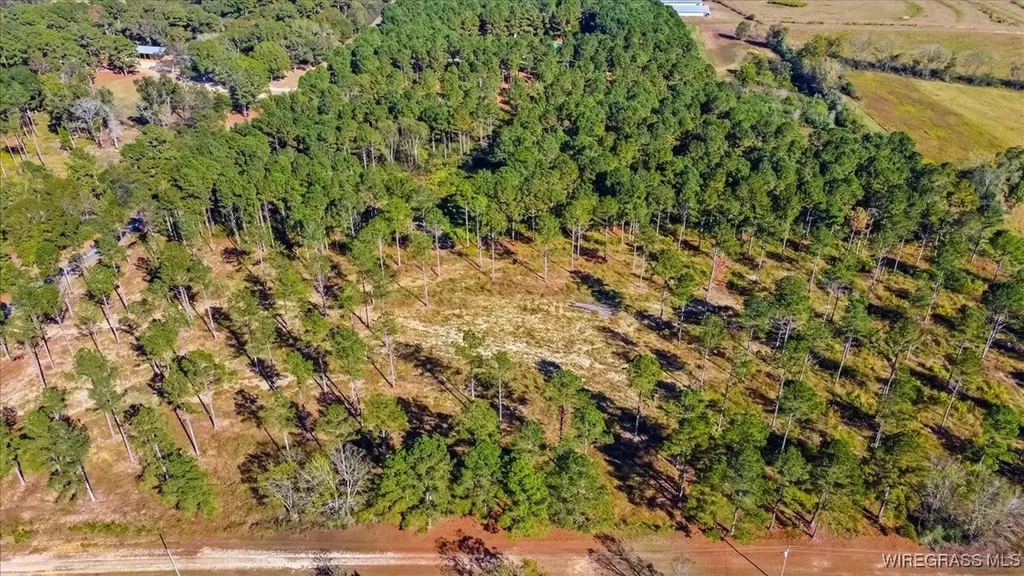 900 County Road 450 Elba AL 36323