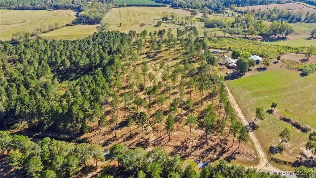 900 County Road 450 Elba AL 36323