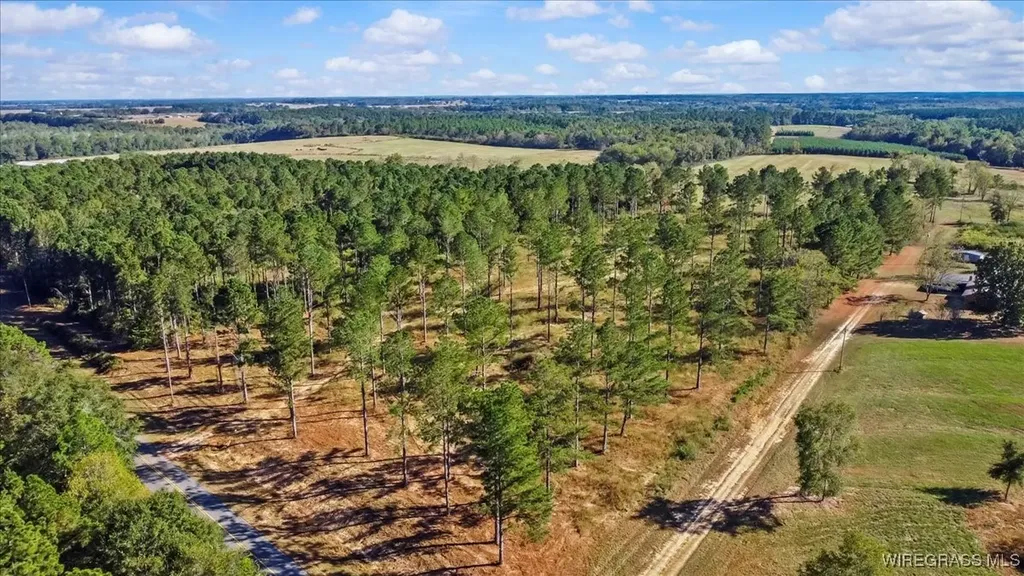 900 County Road 450 Elba AL 36323