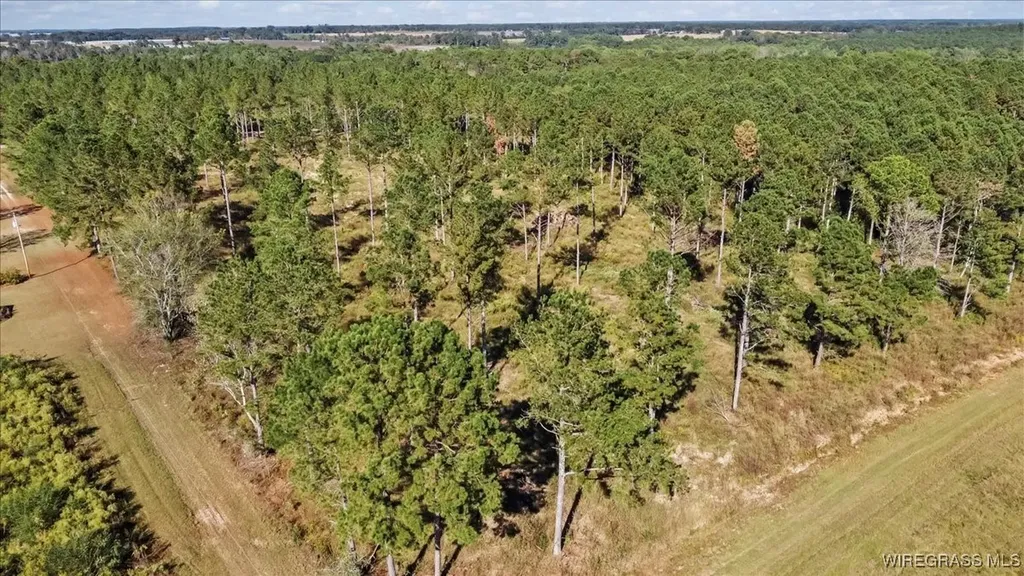 900 County Road 450 Elba AL 36323