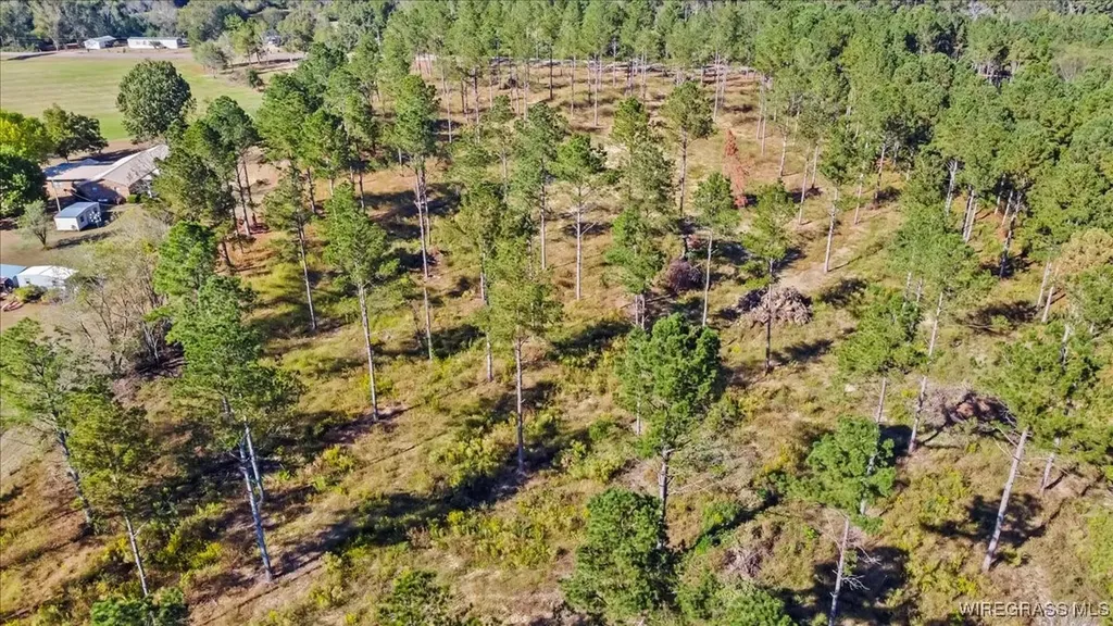 900 County Road 450 Elba AL 36323