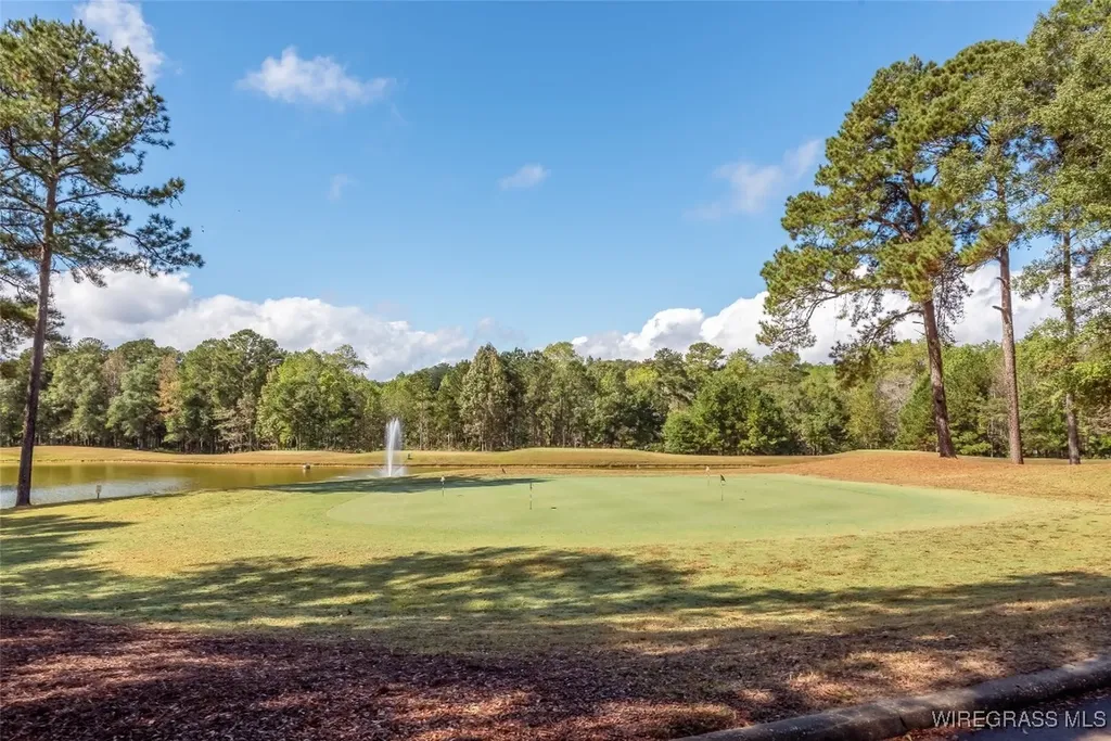 101 E Robertson Court Enterprise AL 36330