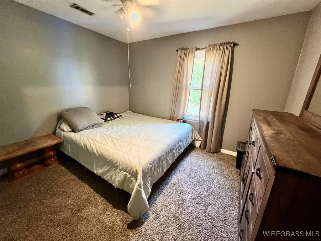 15638 Highway 167 New Brockton AL 36351