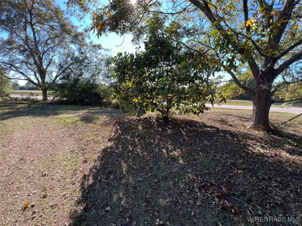 15638 Highway 167 New Brockton AL 36351