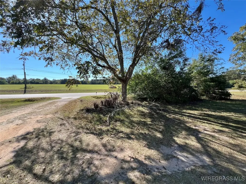 15638 Highway 167 New Brockton AL 36351