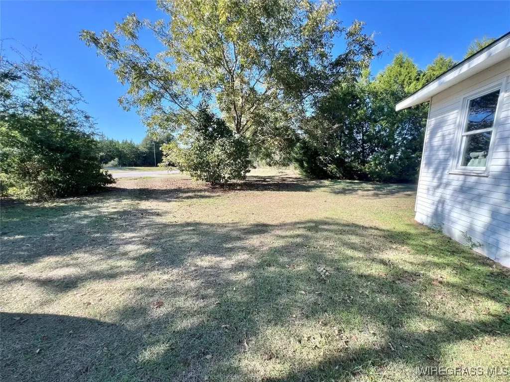 15638 Highway 167 New Brockton AL 36351