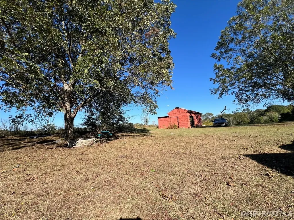 15638 Highway 167 New Brockton AL 36351