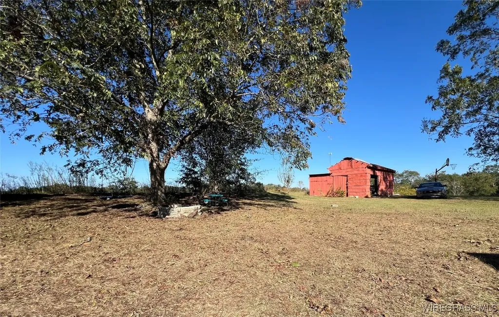 15638 Highway 167 New Brockton AL 36351